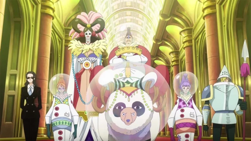 jopto34sgwkck4wssw0g0.webp?p=YhWNUyHTRwlVRYbxM8qUruWiInAMTZdWqvabDRGR.jpg&s=pd&widen=800